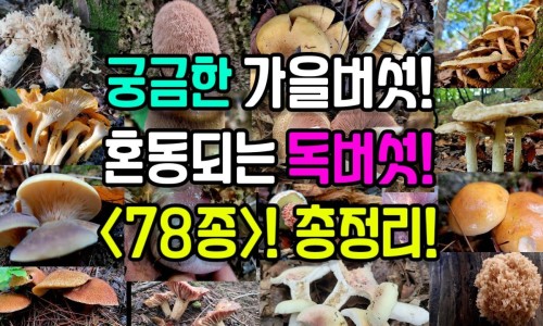 婴儿檫肚脐网 :分享婴儿肚脐不小心给拽掉了怎么办-婴儿肚脐眼怎么护理知识